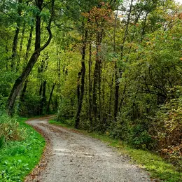 A la rencontre de la Forêt de Navarrenx puis Mirasou