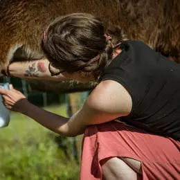 À la rencontre des ânes des Grandes Z'Oreilles à Pindray