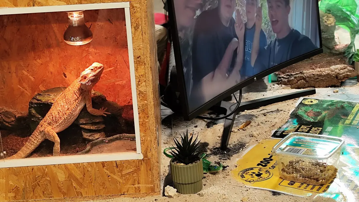 A la rencontre des associations