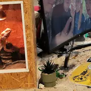 A la rencontre des associations