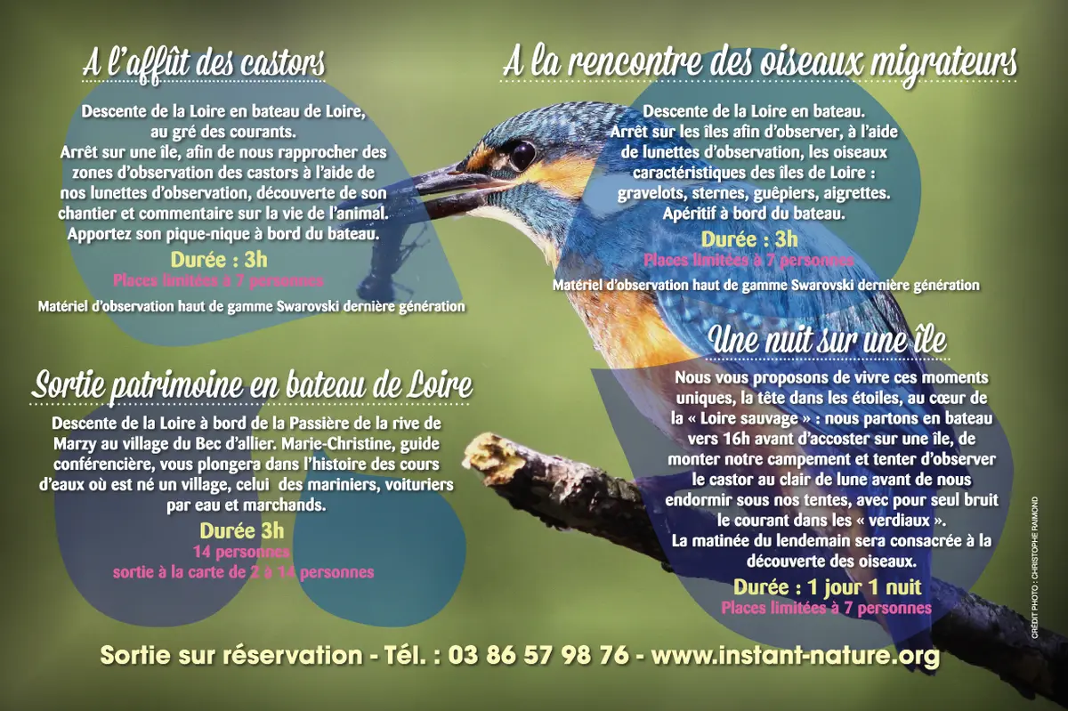 A la rencontre des oiseaux migrateurs du Bec d'Allier