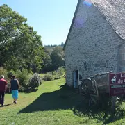 A la rencontre des plantes des sorcières