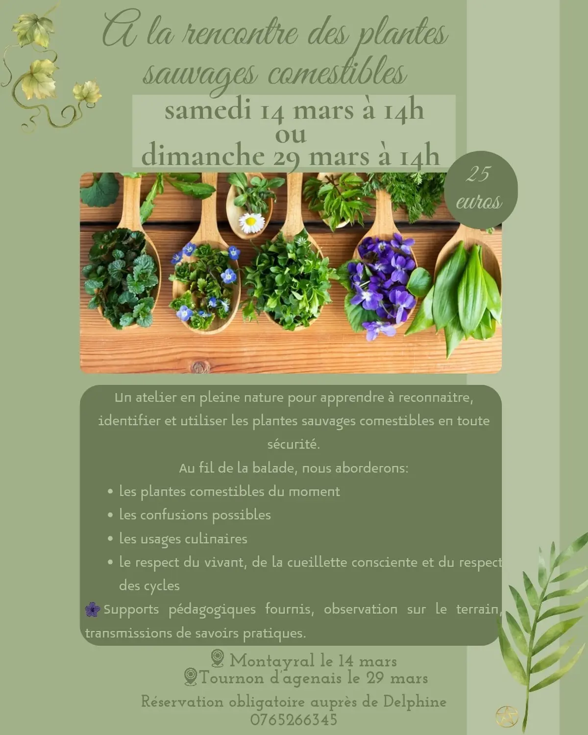 A la rencontre des plantes sauvages comestibles