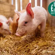 À la rencontre des producteurs - Au pré de mon arbre