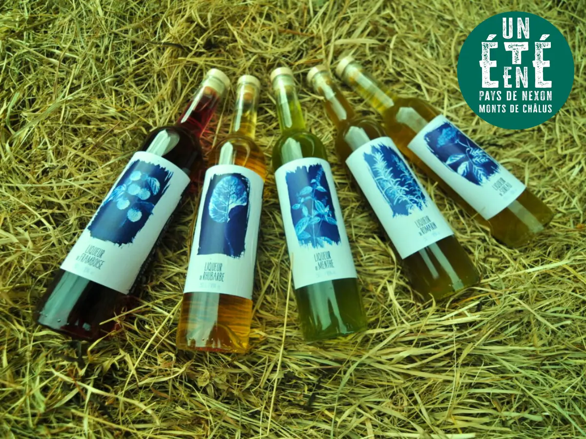 À la rencontre des producteurs - La Distillerie Dandelion