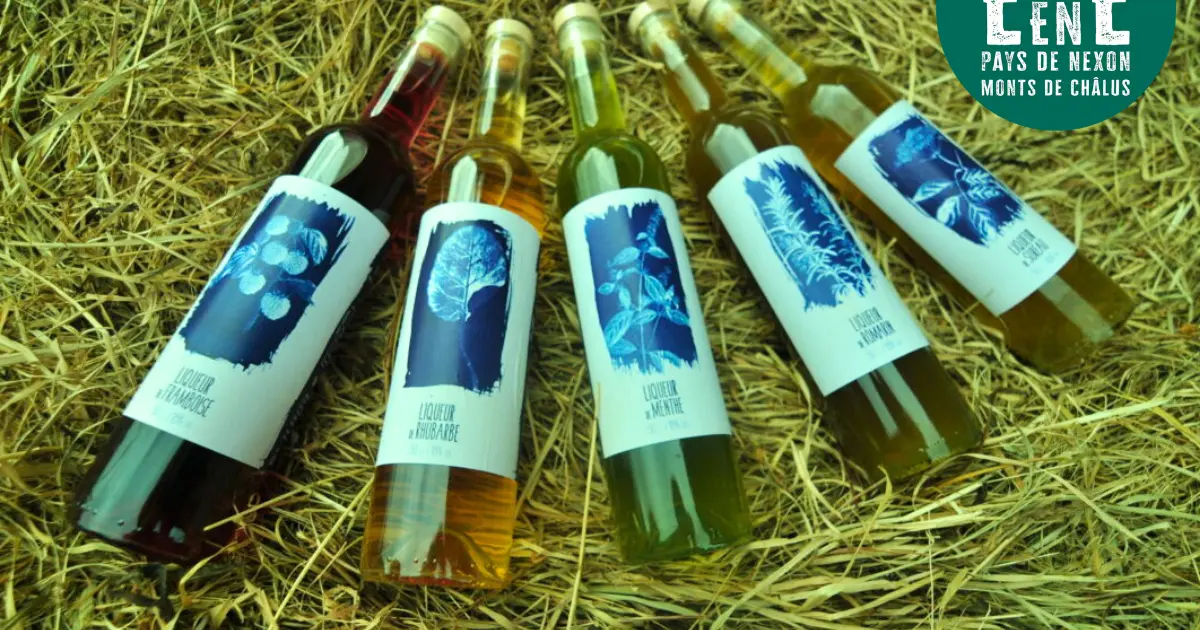 À la rencontre des producteurs - La Distillerie Dandelion