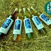 À la rencontre des producteurs - La Distillerie Dandelion