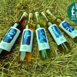 À la rencontre des producteurs - La Distillerie Dandelion