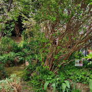 A la rencontre du jardin partagé de l'Univert