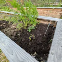 Potagers urbains : à Mulhouse, les quartiers se mettent au vert &copy; MB