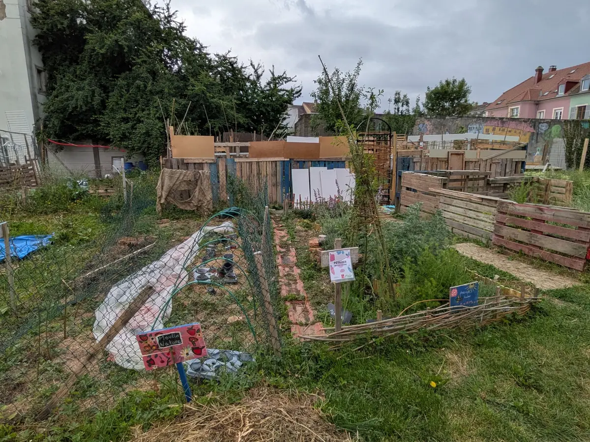Potagers urbains : à Mulhouse, les quartiers se mettent au vert