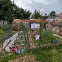 Potagers urbains : à Mulhouse, les quartiers se mettent au vert DR
