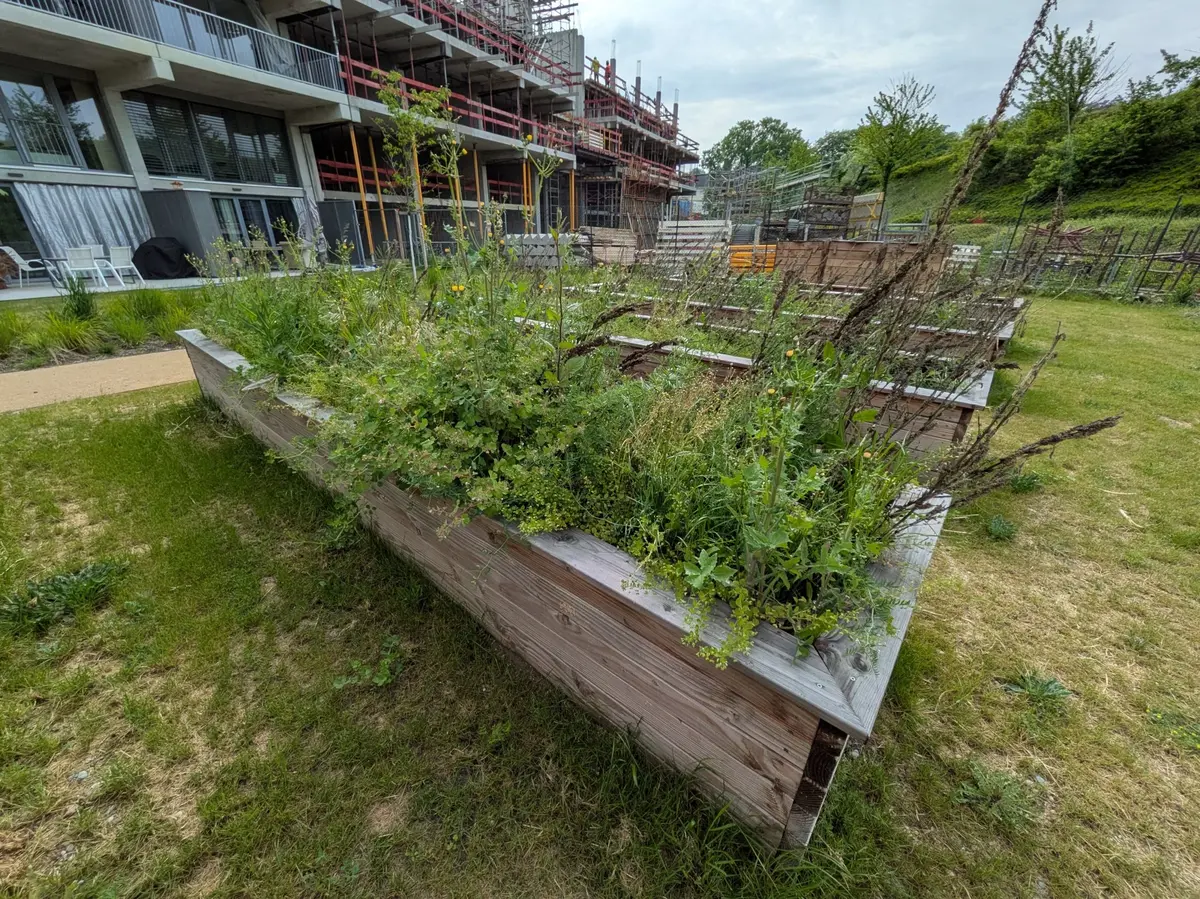 Le potager urbain réservé aux résidents 
d'un immeuble de la Fonderie