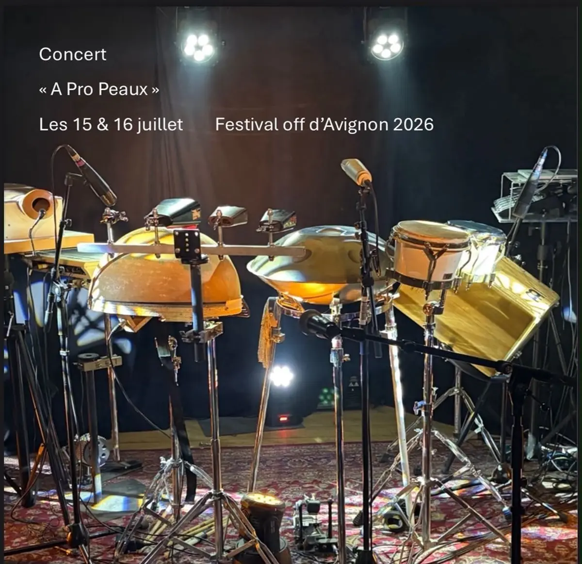 À pro peaux , concert percussions