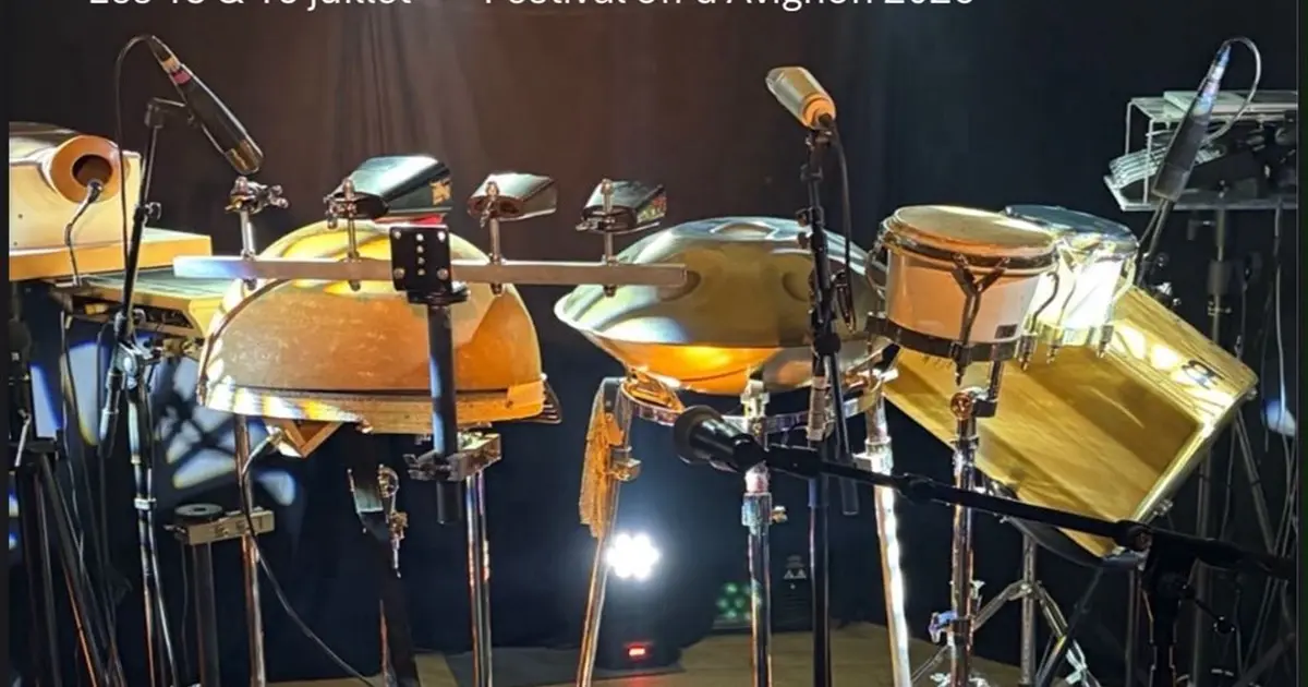 À pro peaux , concert percussions