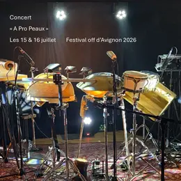 À pro peaux , concert percussions