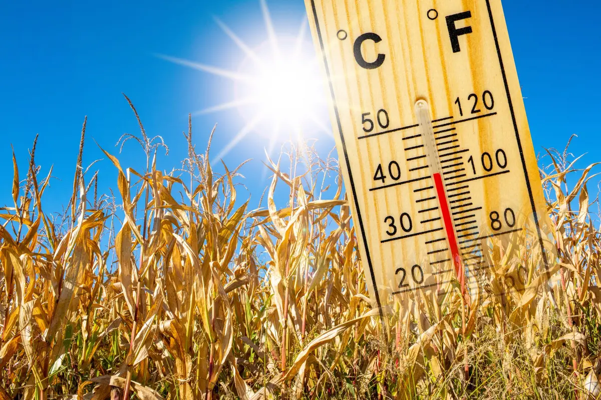 À Tours, le thermomètre pourrait frôler les 40°C : le plus chaud est encore à venir