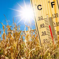 À Tours, le thermomètre pourrait frôler les 40°C : le plus chaud est encore à venir DR