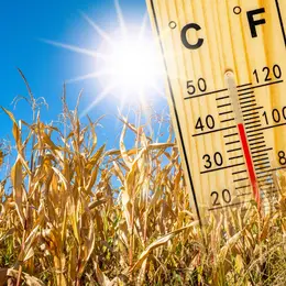 À Tours, le thermomètre pourrait frôler les 40°C : le plus chaud est encore à venir