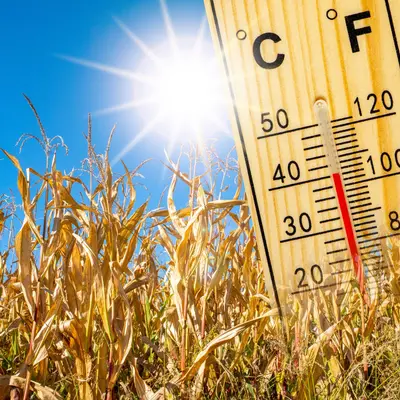 À Tours, le thermomètre pourrait frôler les 40°C : le plus chaud est encore à venir