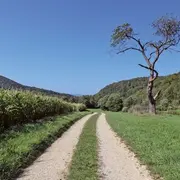 Escapade aux confins de l'Alsace, dans le Jura alsacien