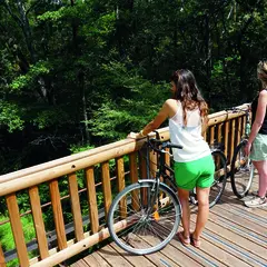 À vélo au Pays d’Aliénor