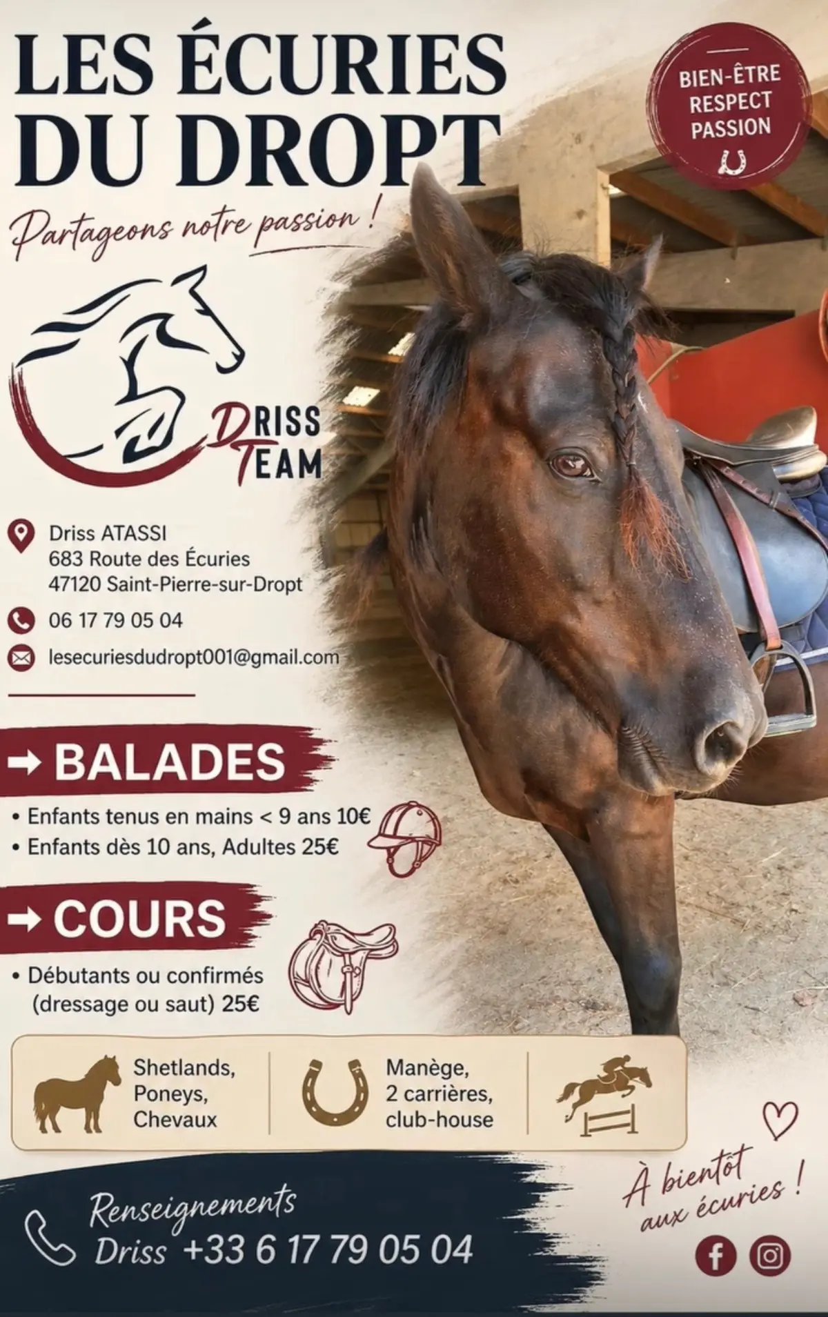 Balade à cheval ou poney