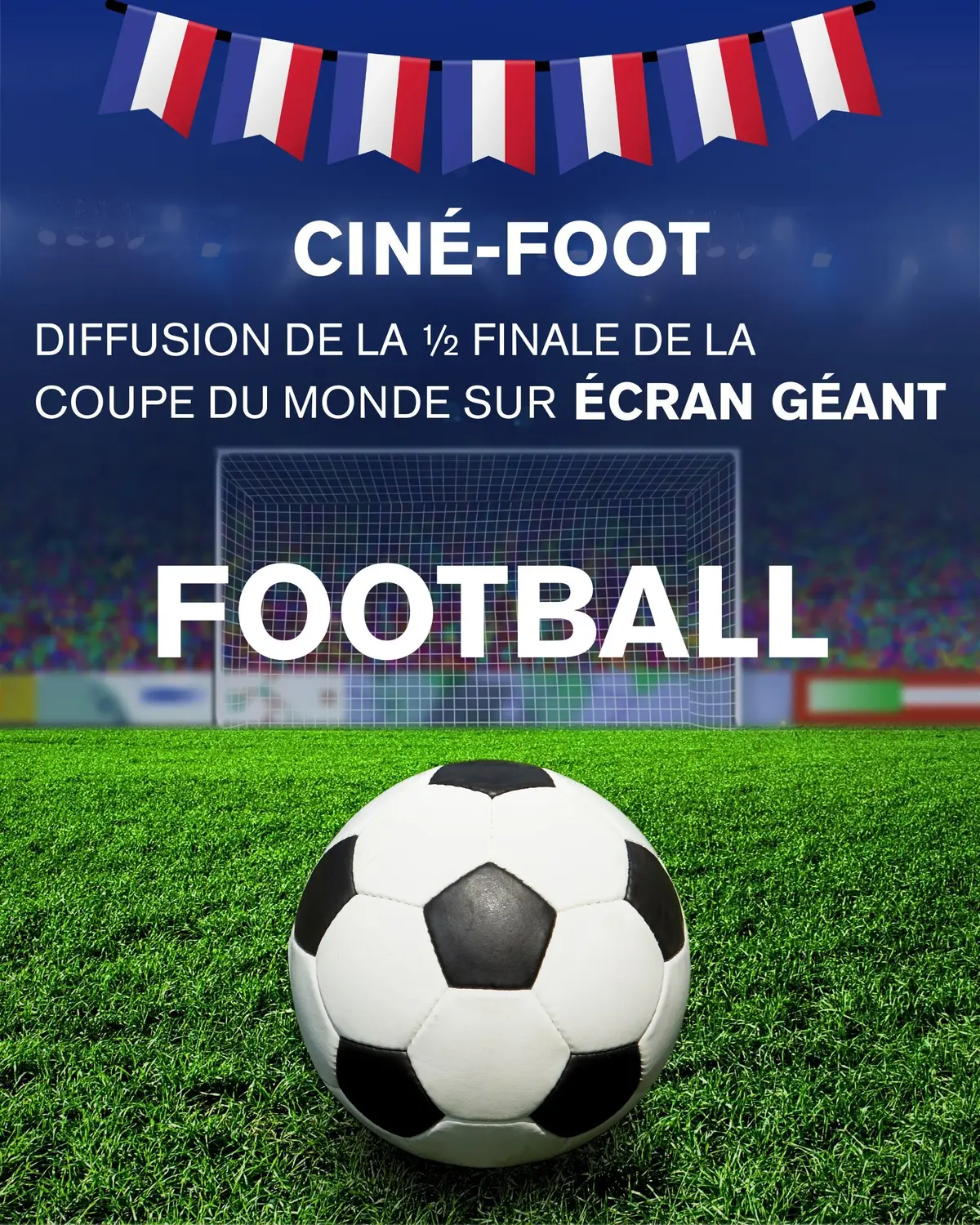 Demi-finale de la Coupe du Monde