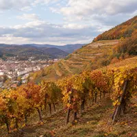 Atelier Famille : Habiter les paysages ordinaires &copy; CCRG-Pah