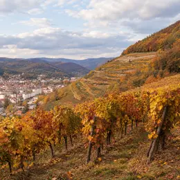 Atelier Famille : Habiter les paysages ordinaires
