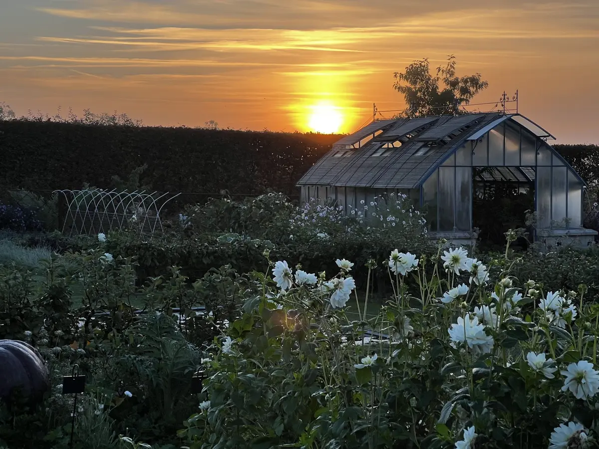 Visite guidée au crépuscule