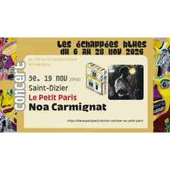 Les Echappées Blues - Noa Carmignat