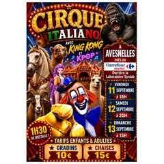 Spectacle du Cirque Italiano