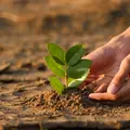 Atelier dérèglement climatique avec ArboréSciences