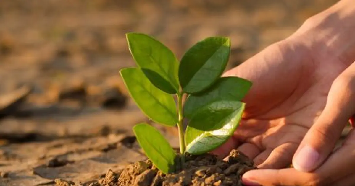 Atelier dérèglement climatique avec ArboréSciences
