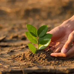 Atelier dérèglement climatique avec ArboréSciences