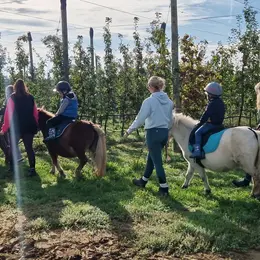 Les Vergers du Comté vous ouvrent leurs portes ! 
