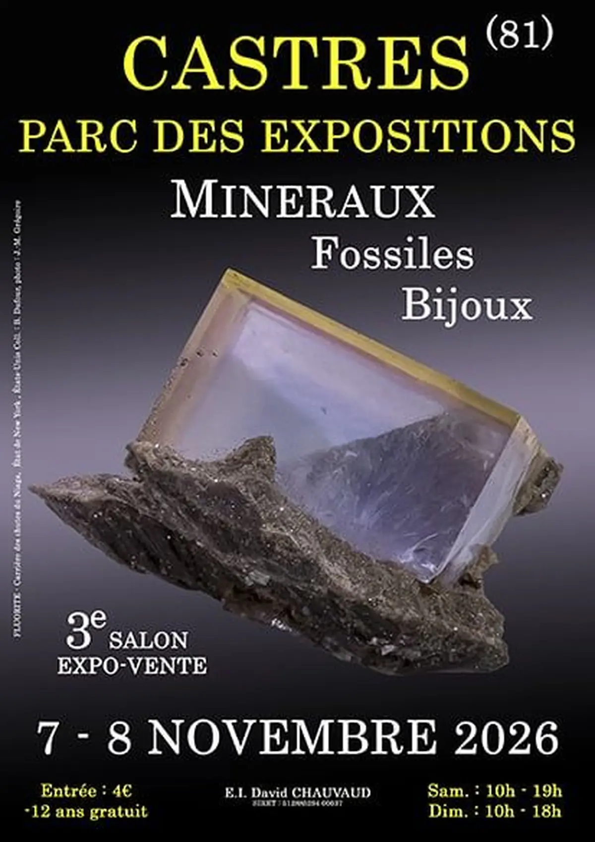 3e SALON Minéraux Fossiles Bijoux de CASTRES (Tarn)