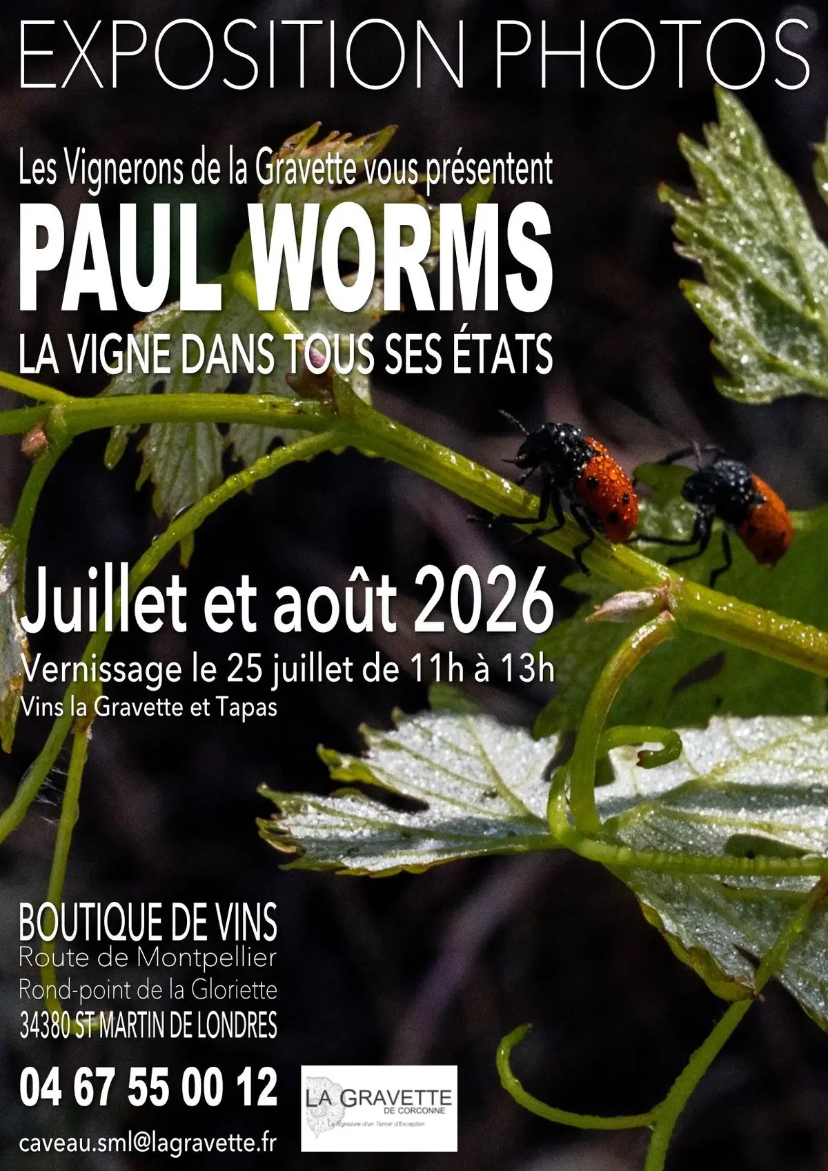 Expo photos : la igne dans tous ses états