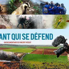 Le Vivant qui se défend - Festival du Film Engagé Thur et Doller