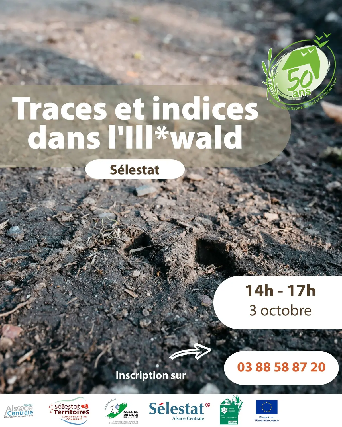 Traces et indices dans l'Ill*wald