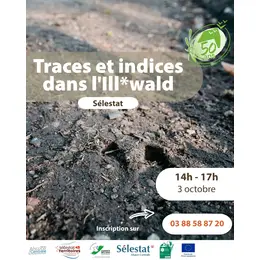 Traces et indices dans l'Ill*wald