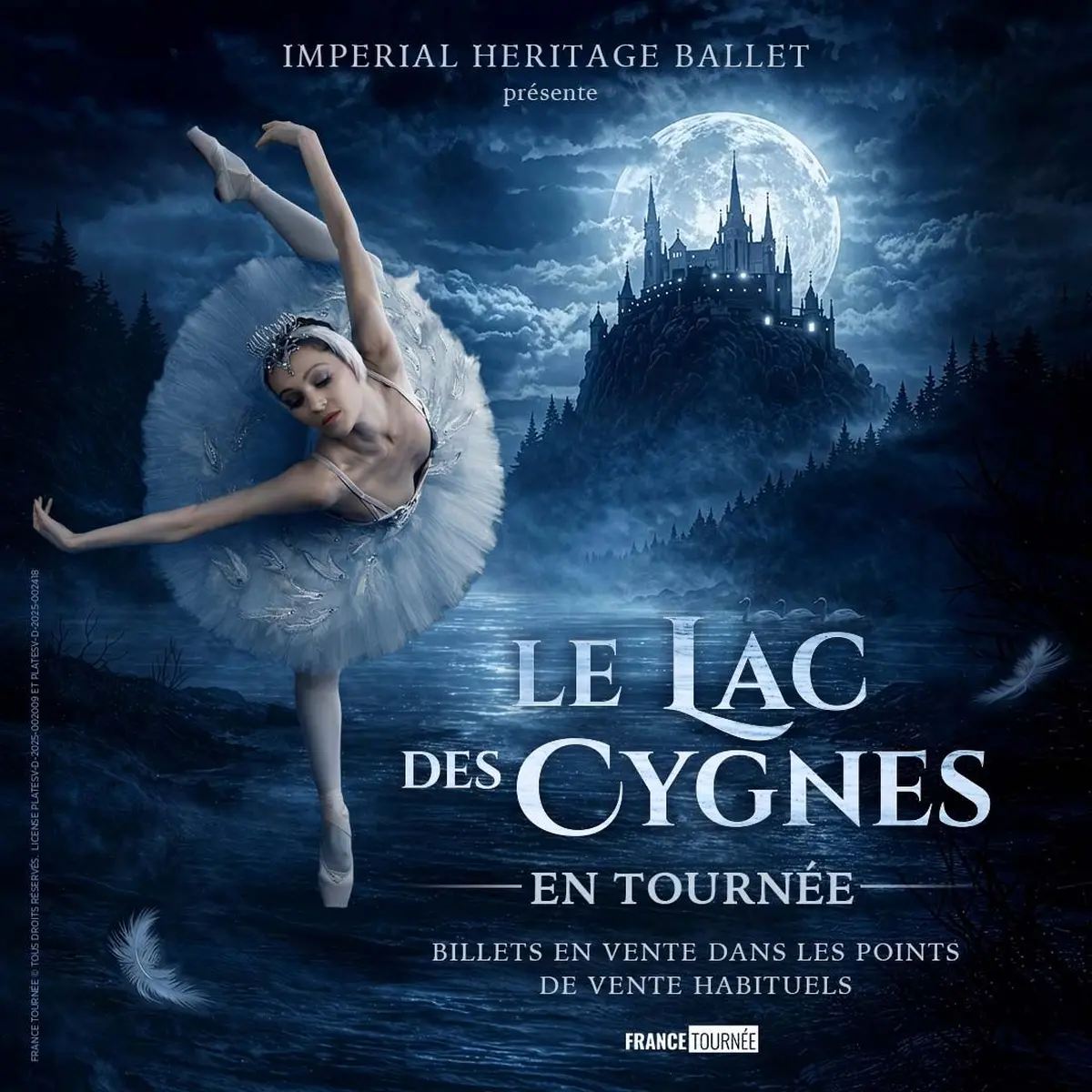 Le Lac des Cygnes