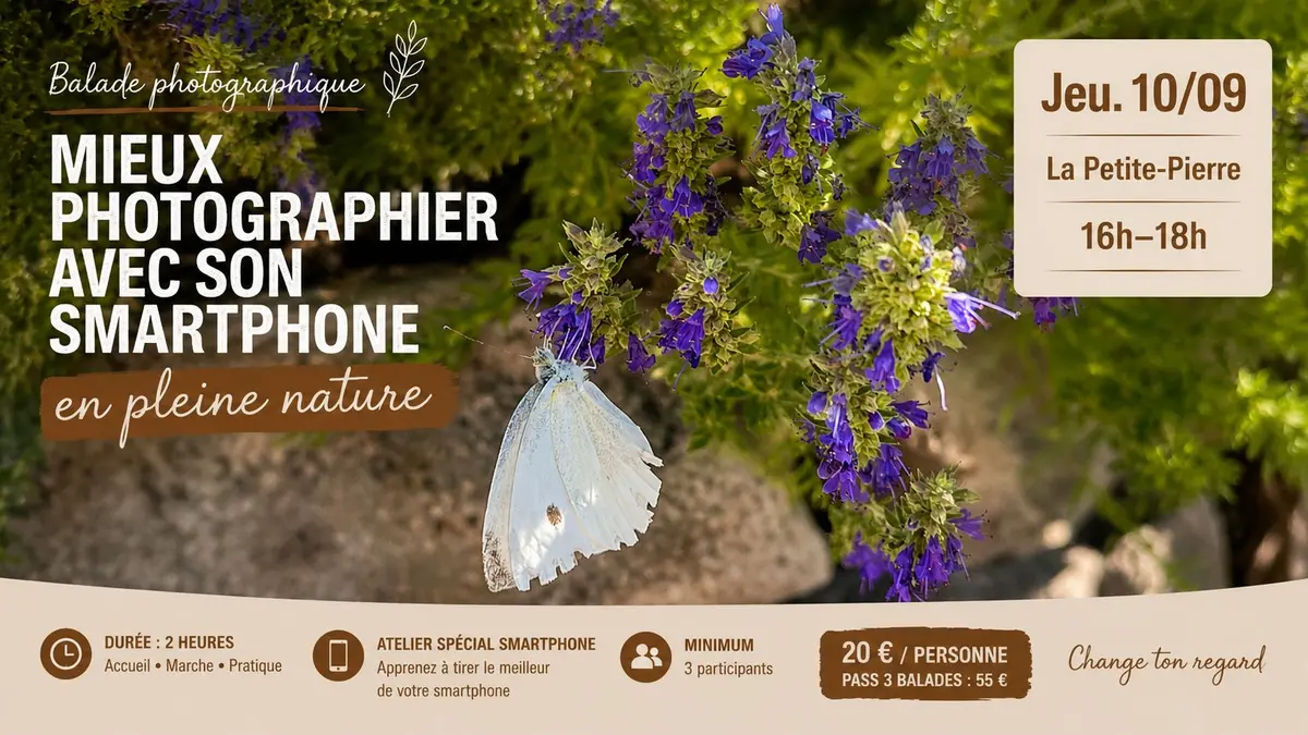 Balade photographique - Mieux photographier avec son smartphone en pleine nature