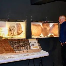 Visite commentée de la section gallo-romaine et des thermes antiques