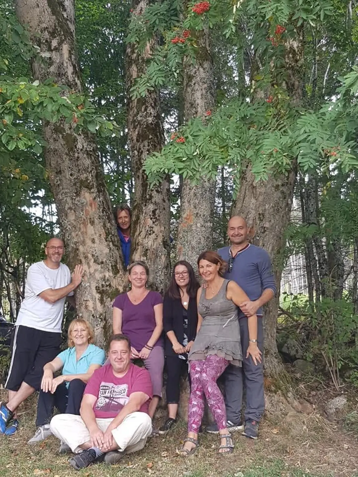Atelier entre méditation et sylvothérapie 