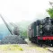 Arrivée à Sentheim du train à vapeur du Chemin de fer touristique Thur-Doller DR