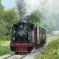 Train Western du Chemin de Fer Touristique Thur-Doller en Alsace DR