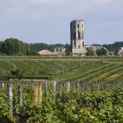 Abbaye de La Sauve-Majeure : Billet d'entrée