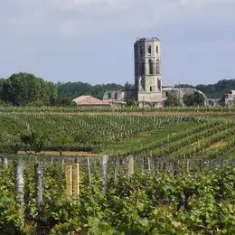 Abbaye de La Sauve-Majeure : Billet d'entrée